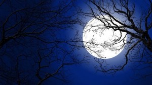 4-banh-trung-thu-2016