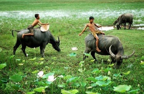 9-banh-trung-thu-brodard-2016