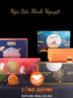 Trung thu đến gần, bạn tuyệt đối không thể bỏ qua 5 loại bánh trung thu gây bão thị trường năm 2020 để làm quà tặng cho gia đình, bạn bè, đồng nghiệp.